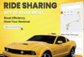 Gojek Clone App Development | SpotnRides